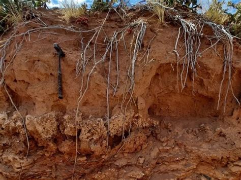34000*0,8|These oldest inhabited termite mounds have been active for .